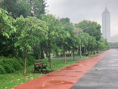 -万绿园