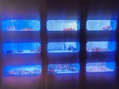 -澜棠海鲜(余姚阳明古镇店)