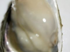 -三乐海鲜水饺馆