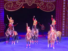 -珠海横琴长隆《卡卡虎奇遇记》