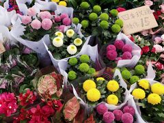 -秦美花卉(天朗·莱茵小城2期店)