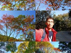 -天鹿湖森林公园