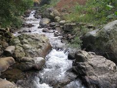 IMG_1950-广州市石门国家森林公园