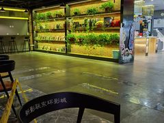 -新影联东环影城