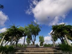 -上海海湾国家森林公园