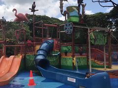 -新加坡飞禽公园