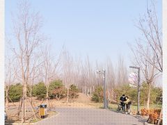 -东郊湿地公园