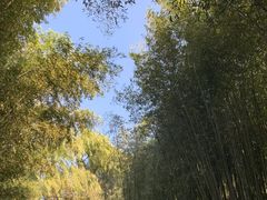 -竹泉村旅游度假区