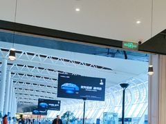-合肥新桥国际机场-航站楼