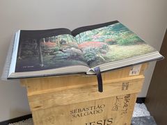 -二酉书店TOYOU BOOKS