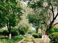 -永定河休闲森林公园