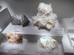 -湖南省地质博物馆