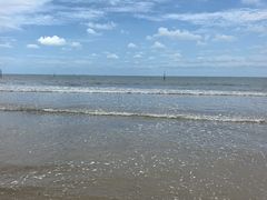 -日照海滨国家森林公园