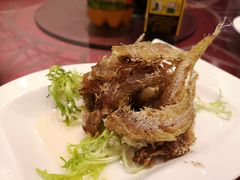 -上海青松城大酒店
