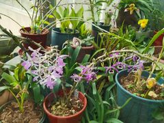 -国家植物园南园