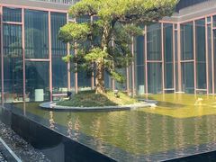 -上海崇明金茂凯悦酒店