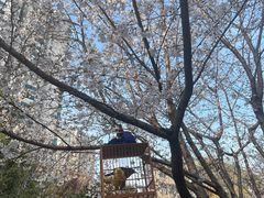 -郑和公园