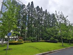 -上海对外经贸大学(古北校区)