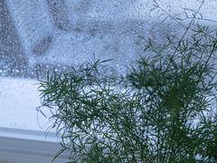-花沐 FLOWER BATH(凤凰城店)