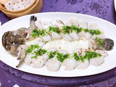 WT清蒸小龙趸-惠食佳·朱雀(东方商厦店)