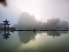 -靖西鹅泉风景区