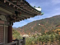 -国际友谊展览馆