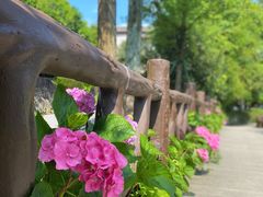 -鼓岭旅游度假区