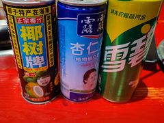 椰汁-谭鸭血老火锅(慈云寺店)