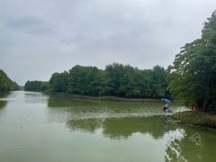 -上海海湾国家森林公园