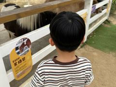 -盈香心动乐园