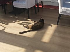 -EATALIA意塔利意式餐厅(鼓楼店)