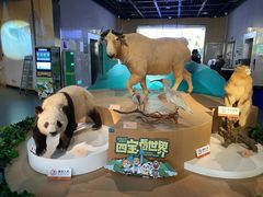 -陕西自然博物馆