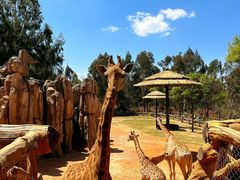 -云南野生动物园