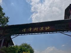 -泗洪洪泽湖湿地景区