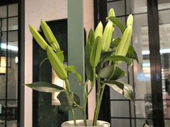 -南堂馆·新川菜(春熙路店)