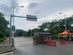 -艾米稻香小镇