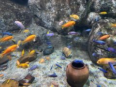 -杭州海底世界