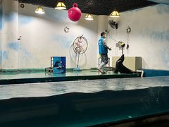 -嘉兴海底世界