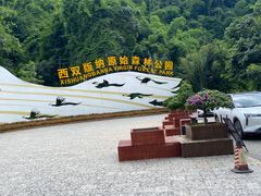 -西双版纳原始森林公园