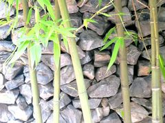 -金沙遗址博物馆