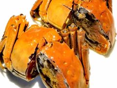 -甄御•海鲜新青岛菜(麦岛店)