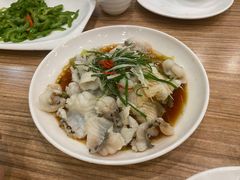 -永記粤菜·五指毛桃花雕鸡煲(九亭店)