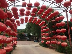 -龙福源密云水库灶台鱼