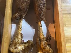 -蔡记·九米羊肉炉(东渡店)