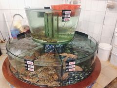 -鹏城人家海鲜酒家·23年老字号(较场尾店)