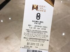 门票-影汇之星8字形摩天轮