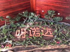 -呀诺达热带雨林