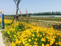 -上海长兴岛郊野公园