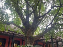 -成都武侯祠博物馆