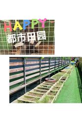 点击看大图 -可可天空农场(中大店)